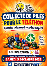 Affiche collecte piles sans mention boite