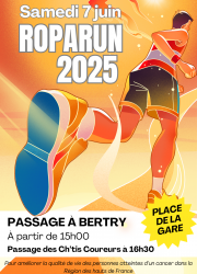 Fete roparun