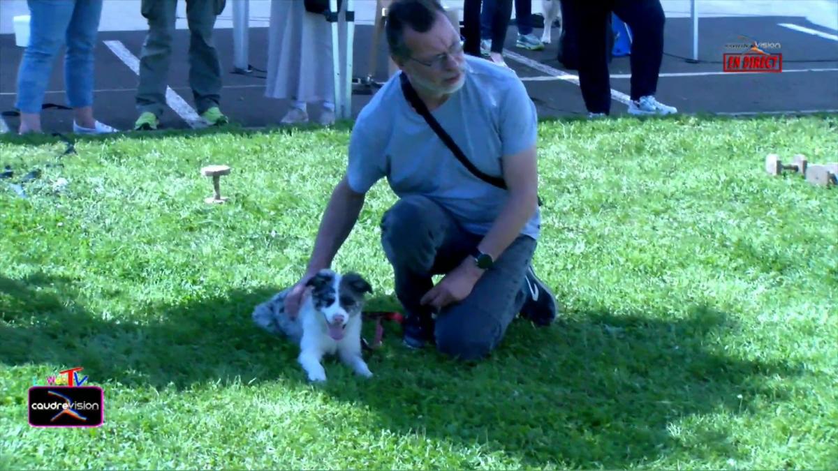 Ecole du chiot à Leclerc Animaux Samedi 11 Mai 2024 - www.caudrevision.fr