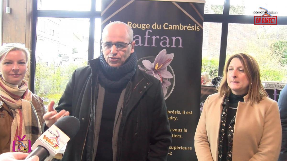 Le Safran - www.caudrevision.fr