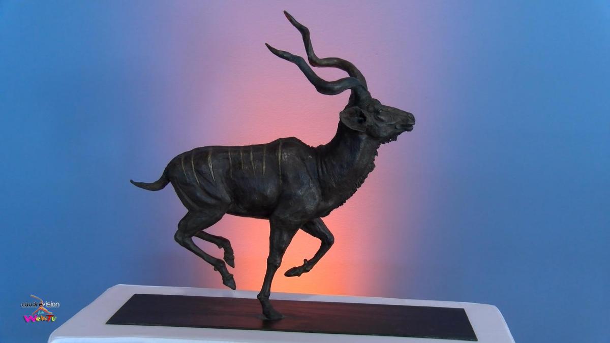 Salon des Arts de Caudry  2023 -  www.caudrevision.fr